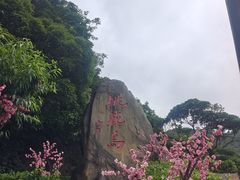 -桃花岛风景旅游区