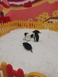 -第五极儿童乐园