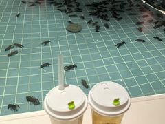 -虾胡闹龙虾馆(湄南河店)