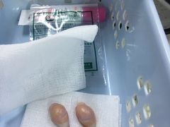 -联合动物医院(光谷诊疗中心)