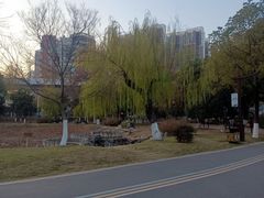 -堤角公园