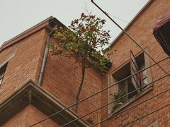 -静安别墅