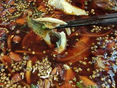 -烧哥美蛙肥肠鱼火锅·十五年社区店