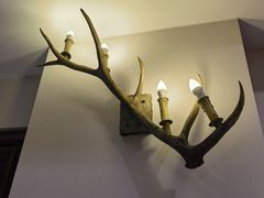 -鹿园 MOOSE(长宁店)
