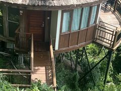-三亚亚龙湾人间天堂鸟巢度假村
