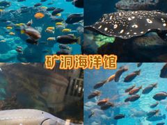 -长鹿旅游休博园