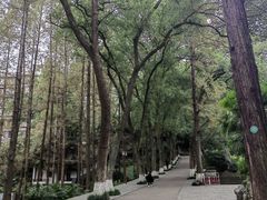 -忠山公园