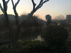 -天目湖涵田半山温泉