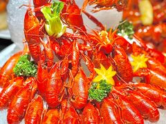 -京悦南门涮羊肉·羊蝎子火锅(田林路店)