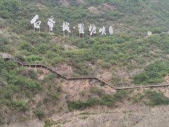 -白帝城·瞿塘峡景区