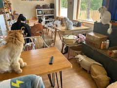 -小时光咖啡馆(开森度假森林店)