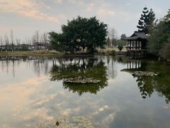 -三垟湿地
