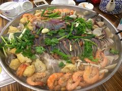 -鸭嘴鱼