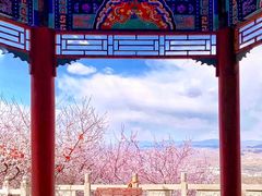 -辛安庄鸡鸣山景区