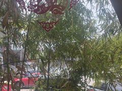 -陈熹公民族美食文化餐厅(中华广场店)