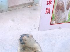 -江天生态园餐厅