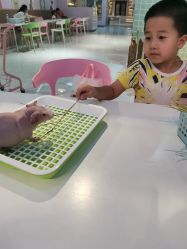 -Moni星球萌宠·小马宝莉·灵蛇·高端高阶全萌宠互动体验俱乐部(红豆国际广场店)