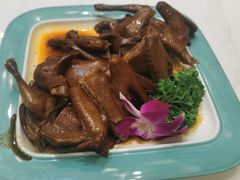 -大鸽饭(马王堆店)