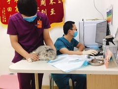 -创凡宠物医院·骨专科  猫科中心(西乡分院)