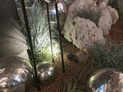 -百年同和·江南点心院(山塘街店)