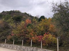 -北京鹫峰国家森林公园