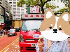 -富豪雪糕车流动点(尖沙咀店)