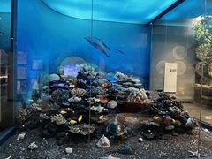 -浙江自然博物院(杭州馆)