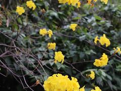 -成都宽窄巷子漫心酒店