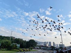 -深圳野生动物园