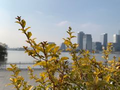 -上海山野camping·户外天幕烧烤·团建拓展营地