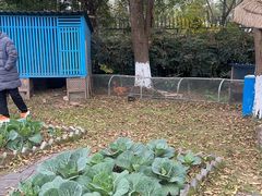 -成都安仁福朋喜来登酒店