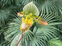 -北京植物园-展览温室