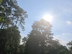 -黄埔油麻山森林公园
