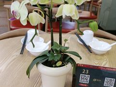 -佛有缘素食馆·荔湾老字号(陈家祠首店)