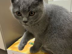 -安安宠医·臻爱宠物医院·宠保定点(营门口路分院)