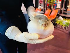 -肆月河豚·淮扬菜·湘菜(华天店)