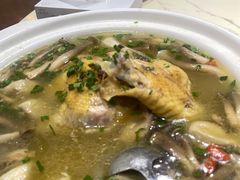 -张鸟园农家乐(张鸟园店)