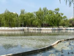 -丰台花园