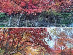 -关门山森林公园