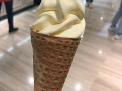 -乐天免税店(明洞店)