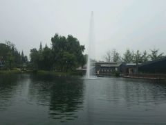 -成飞公园