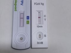 -御宝贝·A梦猫科宠物医院(国际猫友好医院)