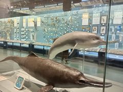 -浙江自然博物院(杭州馆)