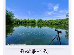 -绿茶餐厅(龙井船宴· 品牌总店)