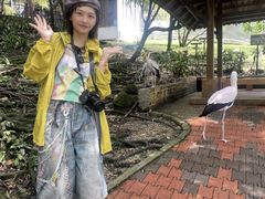 -吉隆坡雀鸟公园