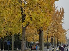 -四川大学(望江校区)