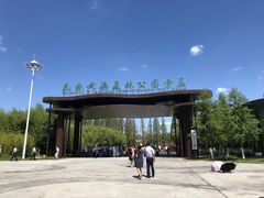 -黄海国家森林公园