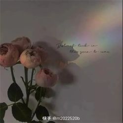 -HEYAN荷妍专业脱毛连锁机构