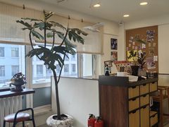 -阿九笨鸡蛋手擀面(总店)