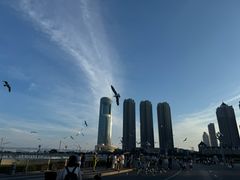 -星海广场